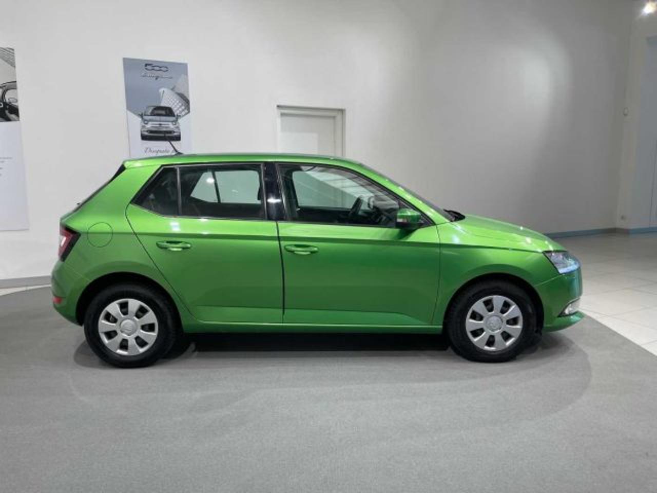 Skoda Skoda Fabia usata 22