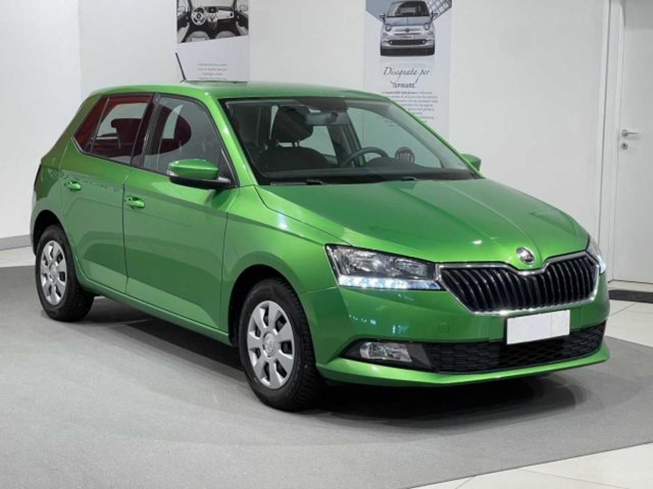 Skoda Skoda Fabia usata 23