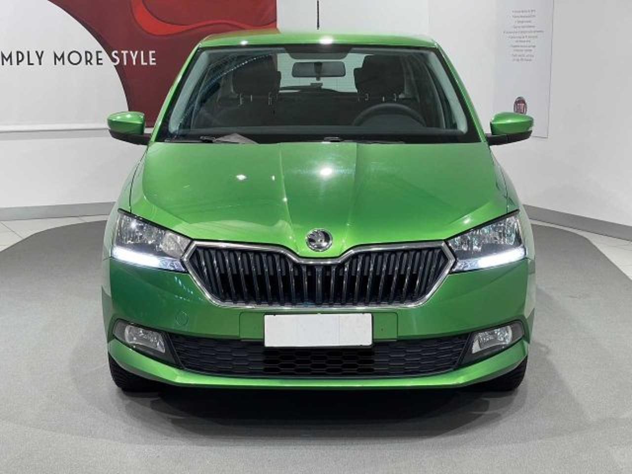 Skoda Skoda Fabia usata 24