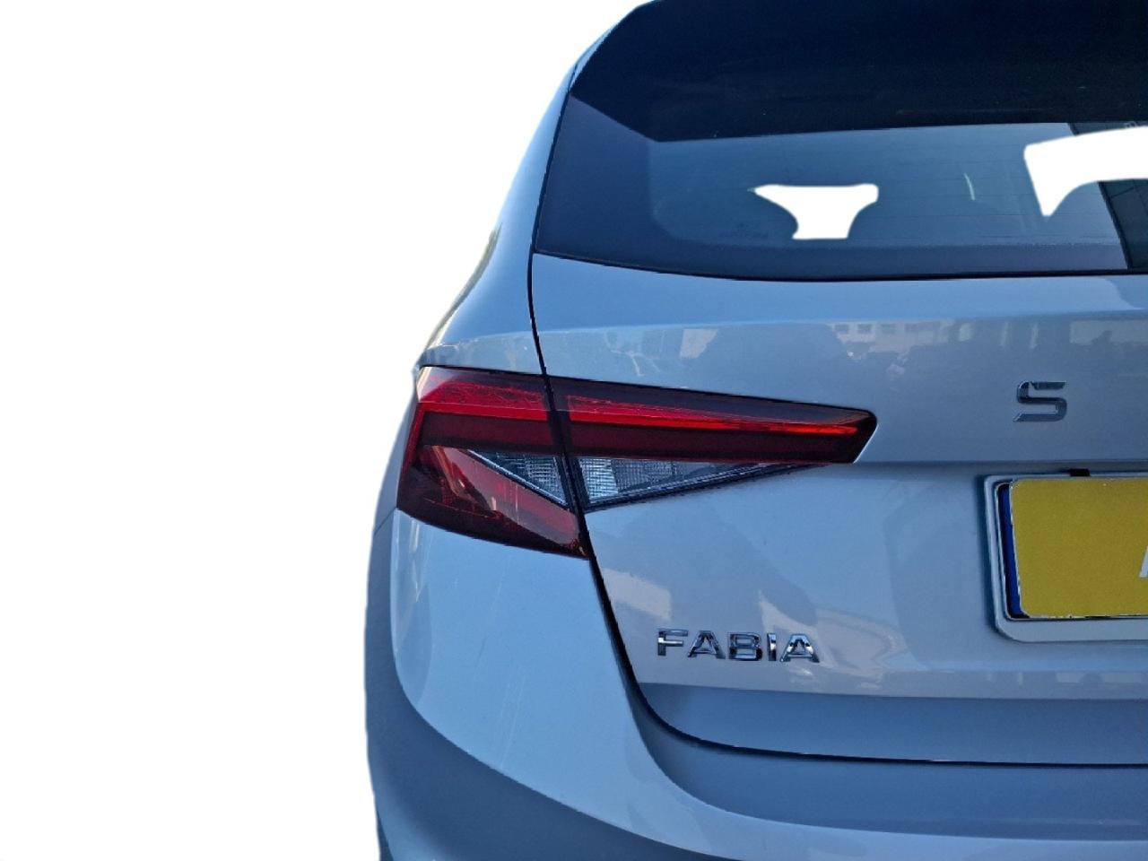 Skoda Skoda Fabia usata, con Caricabatterie di bordo da 11 kW