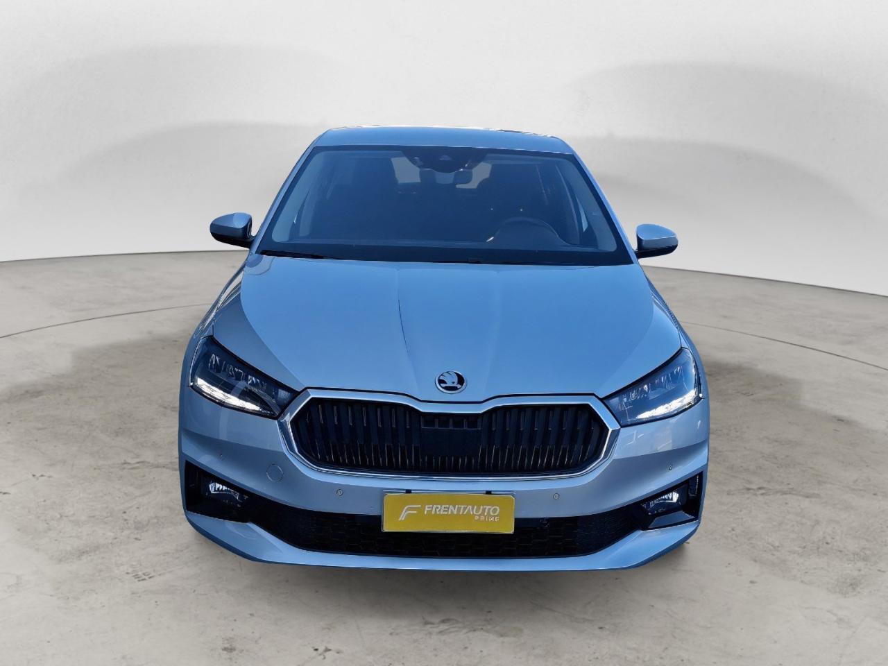 Skoda Skoda Fabia usata 22