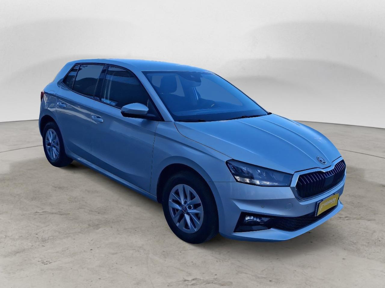 Skoda Skoda Fabia usata 25