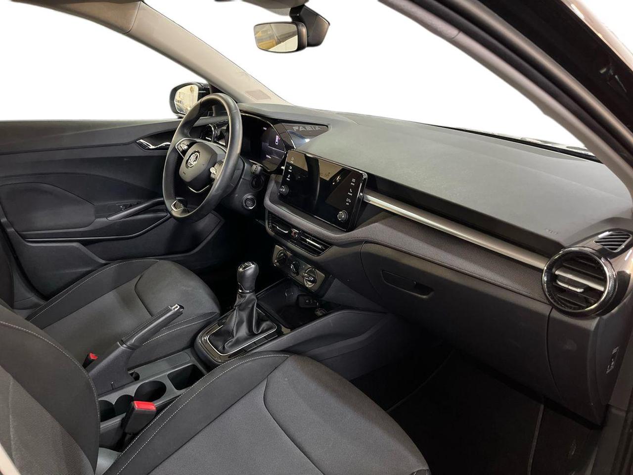 Skoda Skoda Fabia usata, con Rivestimento interno