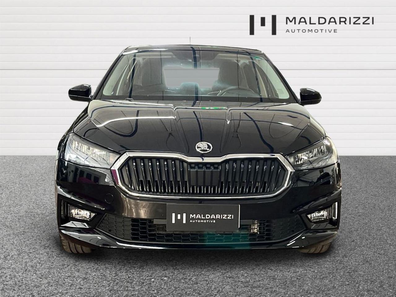 Skoda Skoda Fabia usata, con Vetri Oscurati