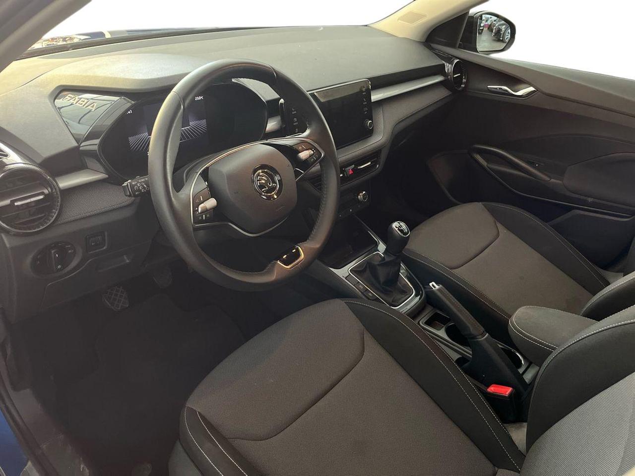 Skoda Skoda Fabia usata 21