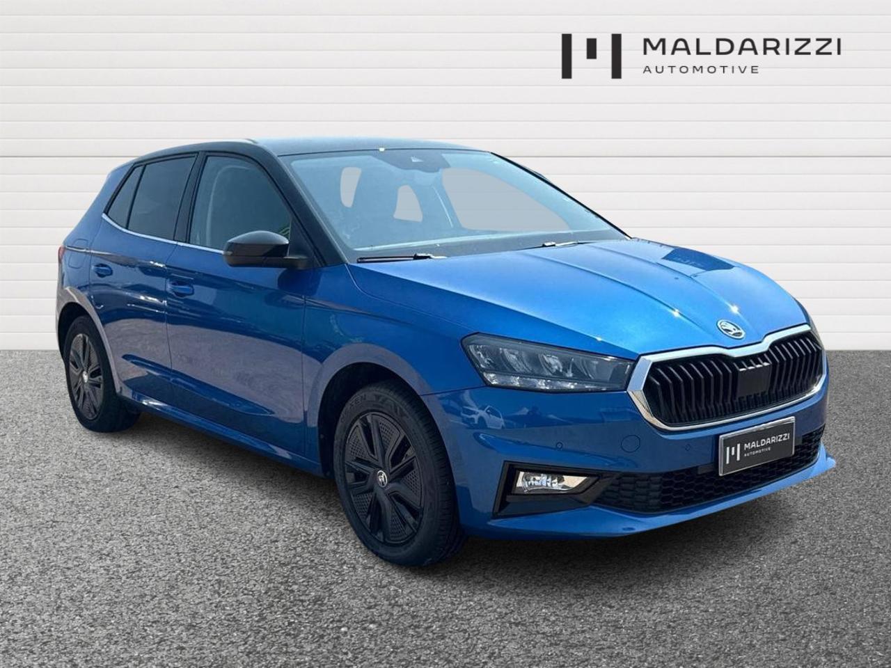 Skoda Skoda Fabia usata 22