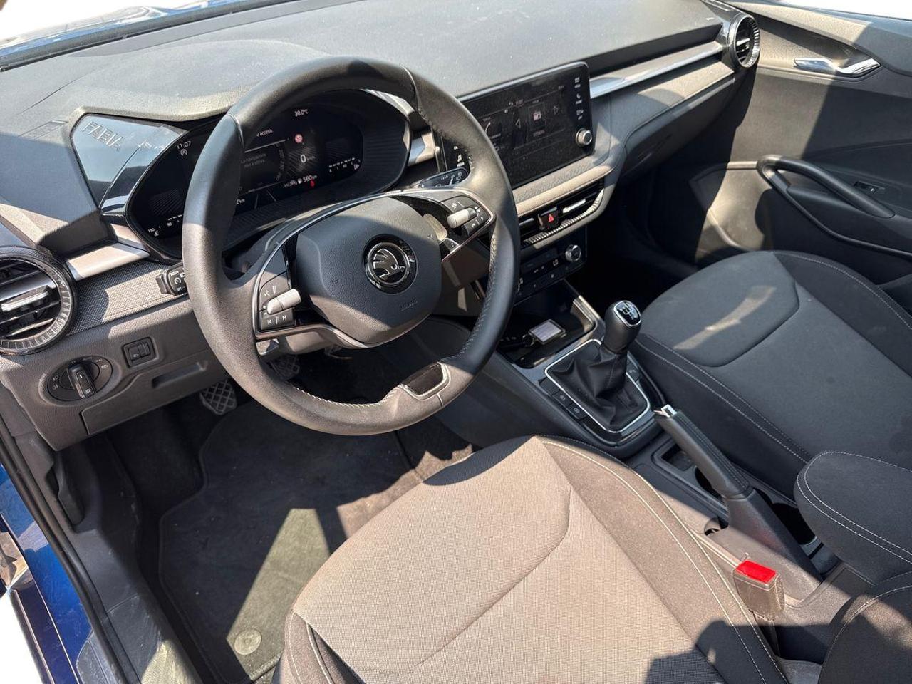 Skoda Skoda Fabia usata 23