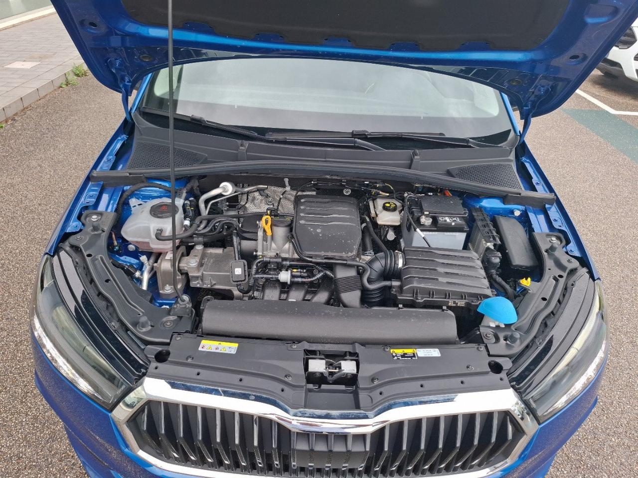 Skoda Skoda Fabia usata, con Climatizzatore