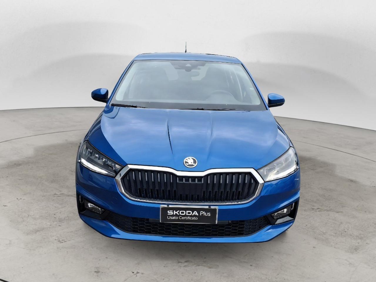 Skoda Skoda Fabia usata 22