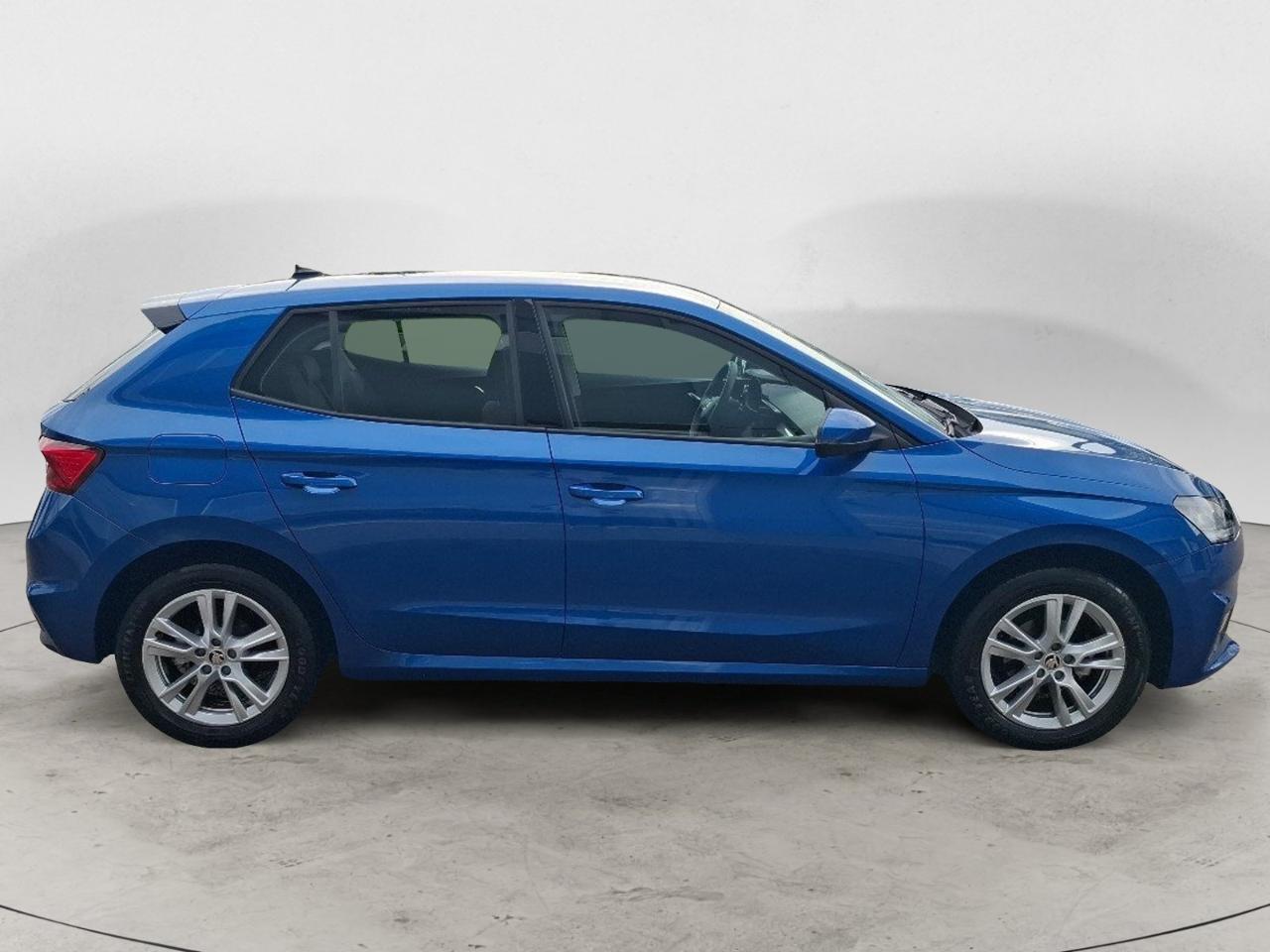 Skoda Skoda Fabia usata 24