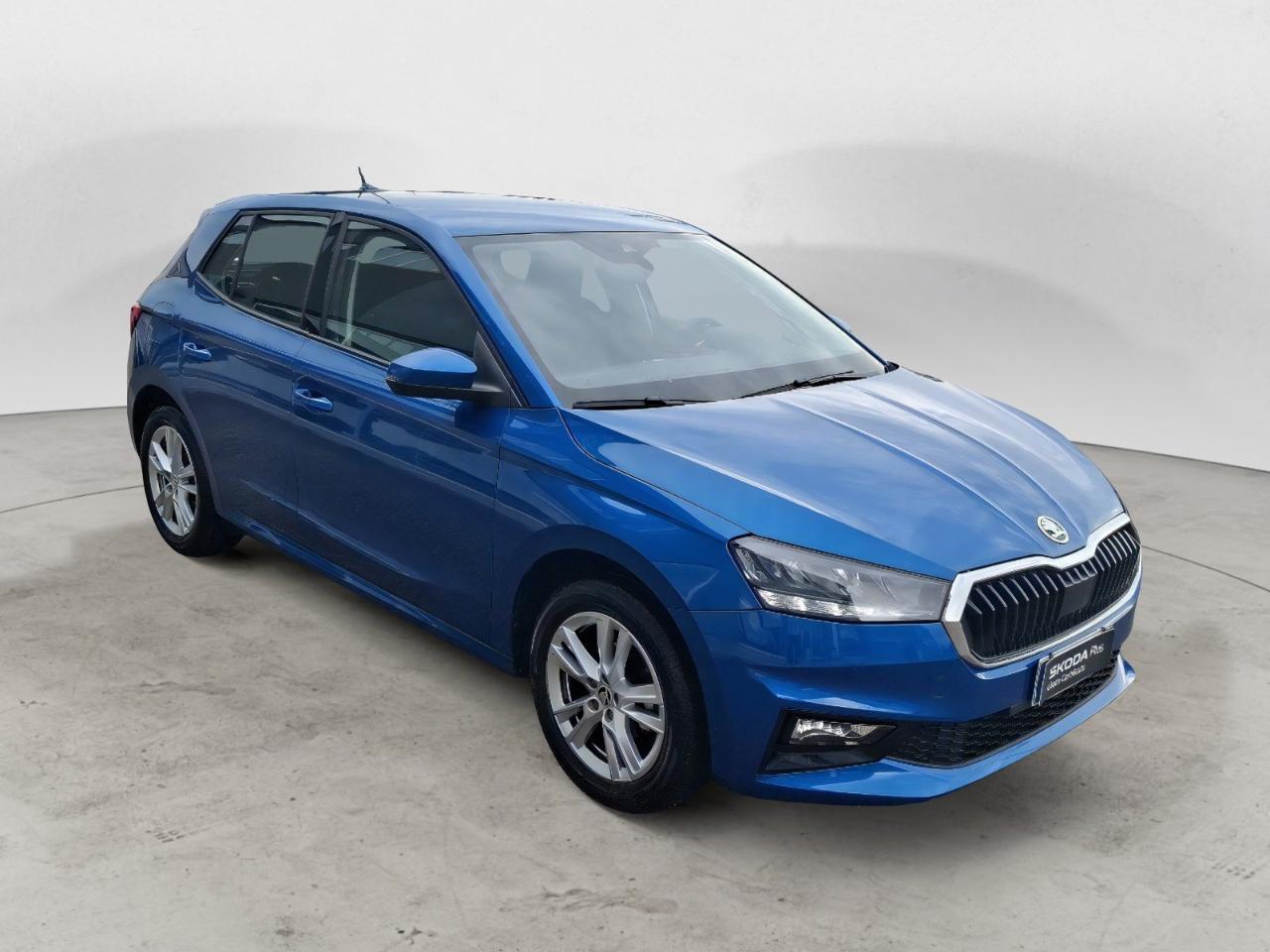 Skoda Skoda Fabia usata 25