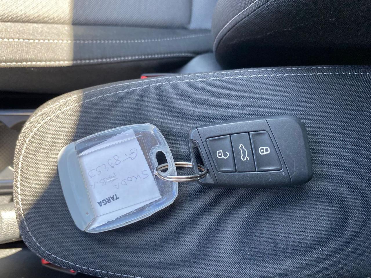 Skoda Skoda Fabia usata 17