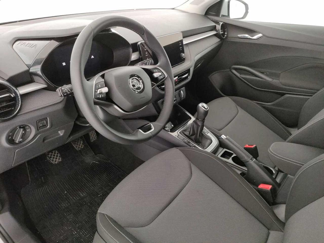 Skoda Skoda Fabia usata, con Mirror Screen