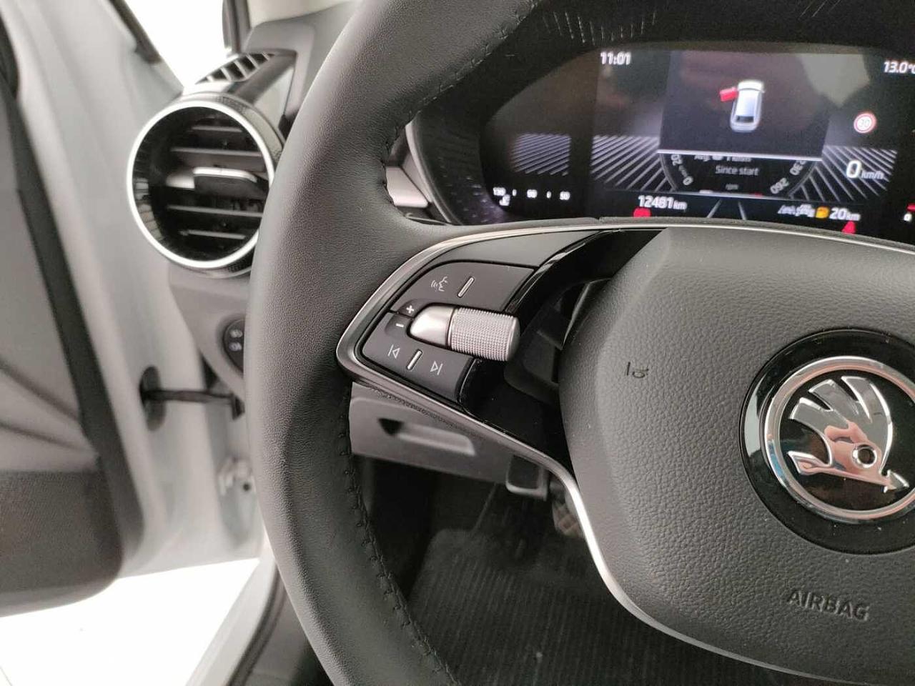 Skoda Skoda Fabia usata, con Vetri Oscurati