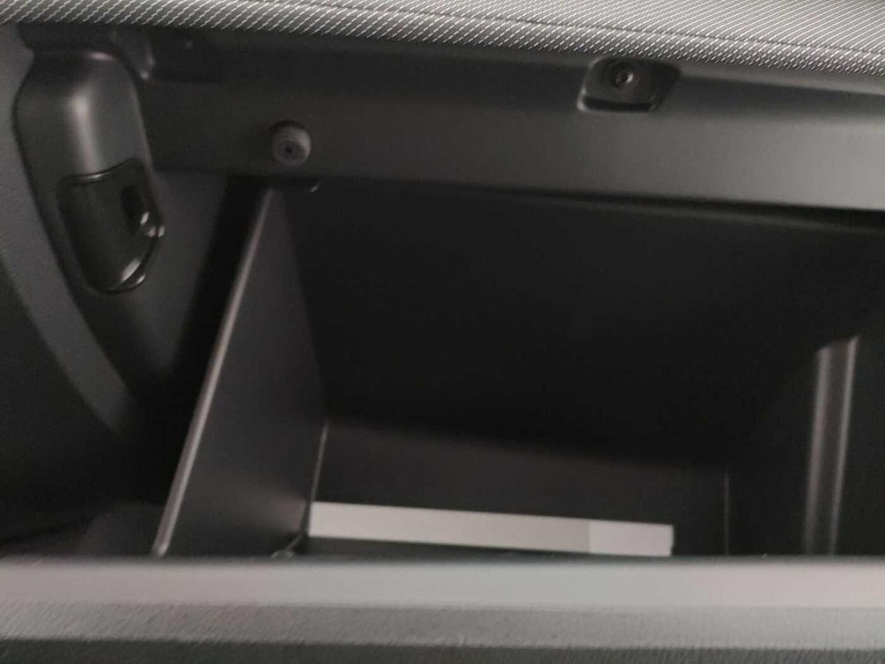 Skoda Skoda Fabia usata, con Rivestimento interno