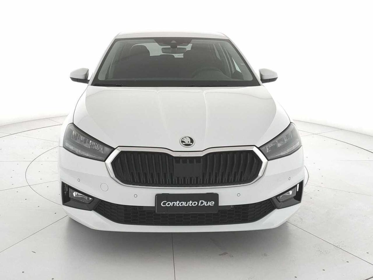 Skoda Skoda Fabia usata, con Tetto Panoramico