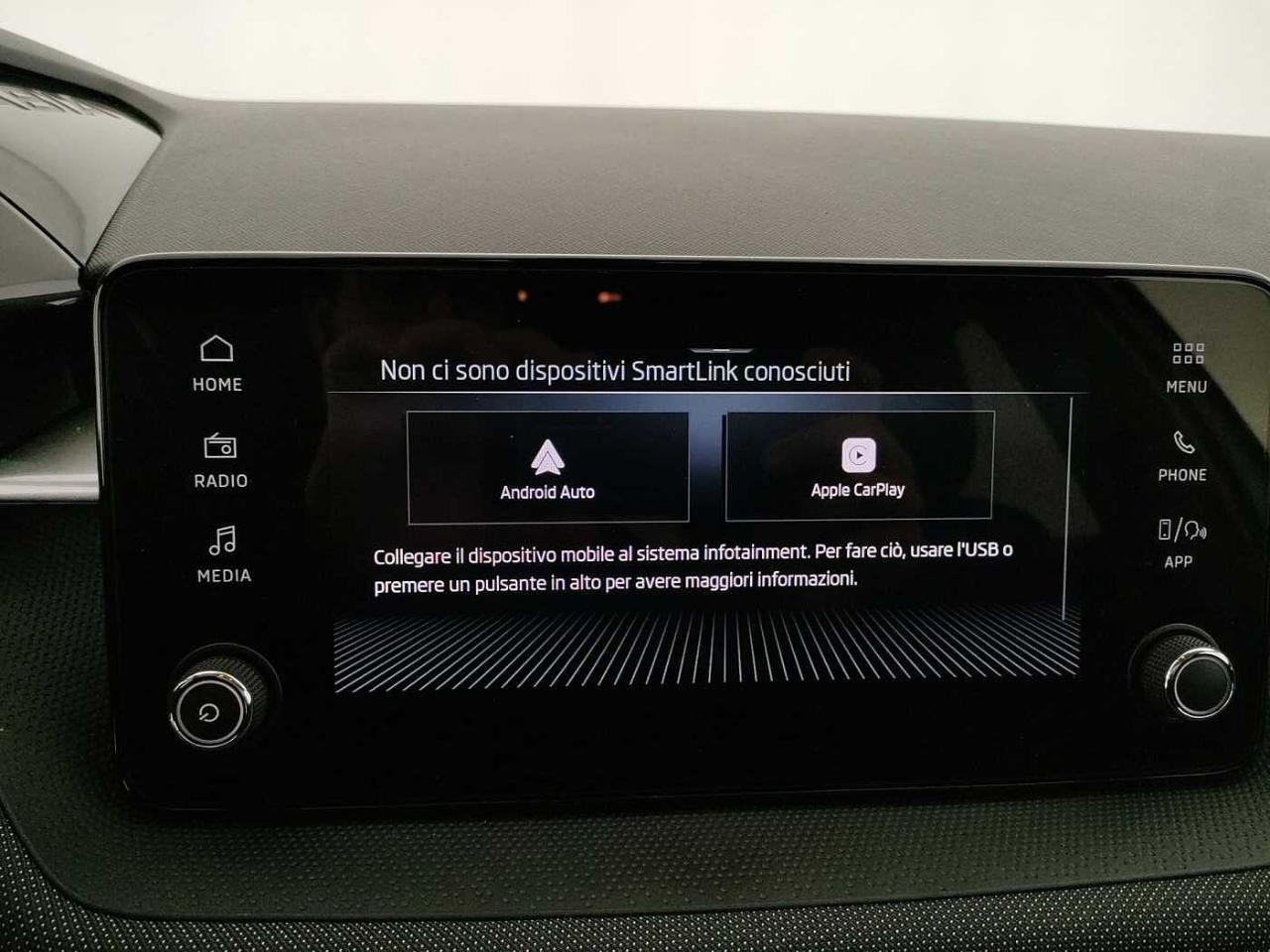 Skoda Skoda Fabia usata 19