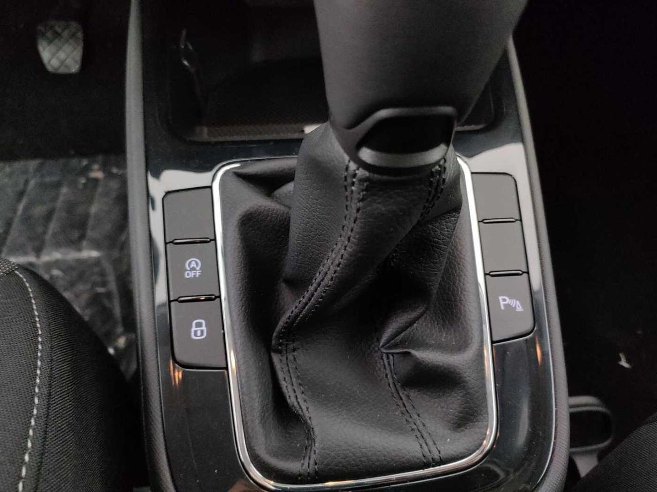 Skoda Skoda Fabia usata 21