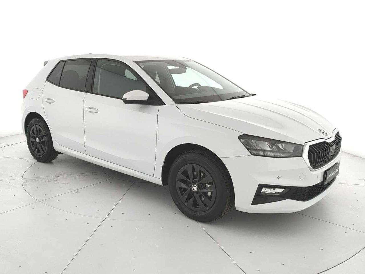 Skoda Skoda Fabia usata 22