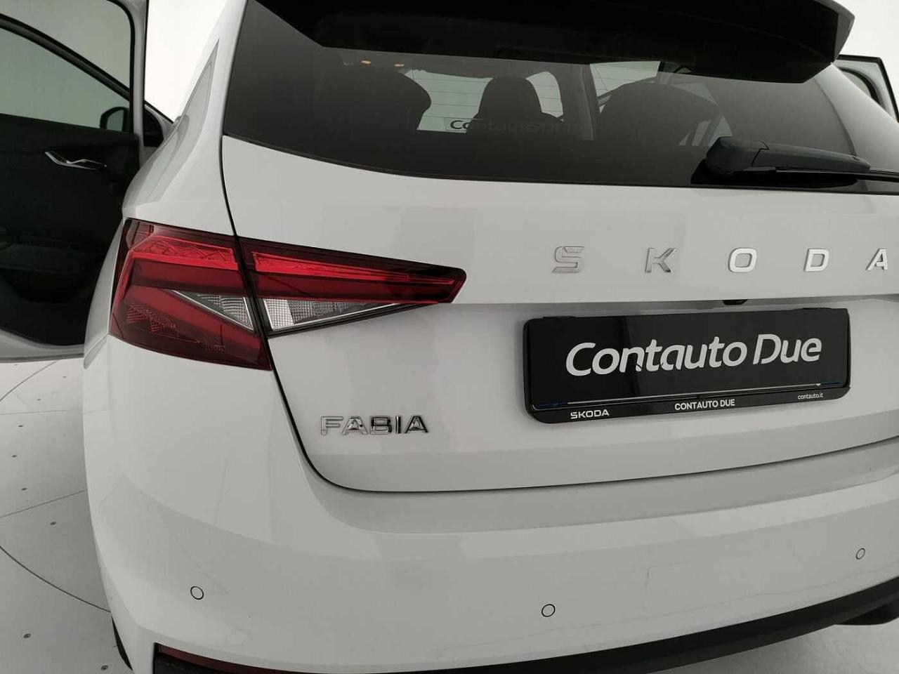 Skoda Skoda Fabia usata 28