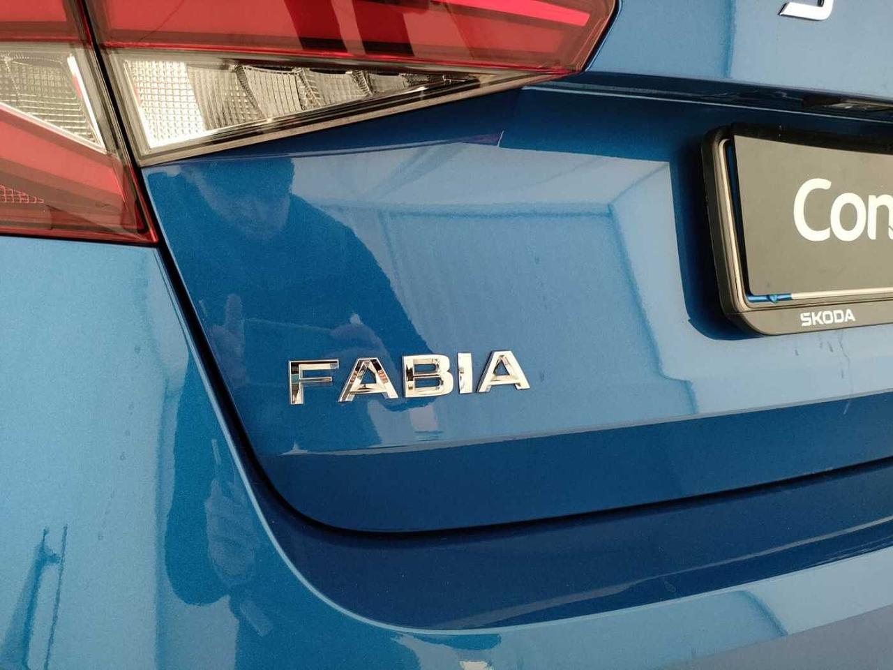 Skoda Skoda Fabia usata, con Climatizzatore