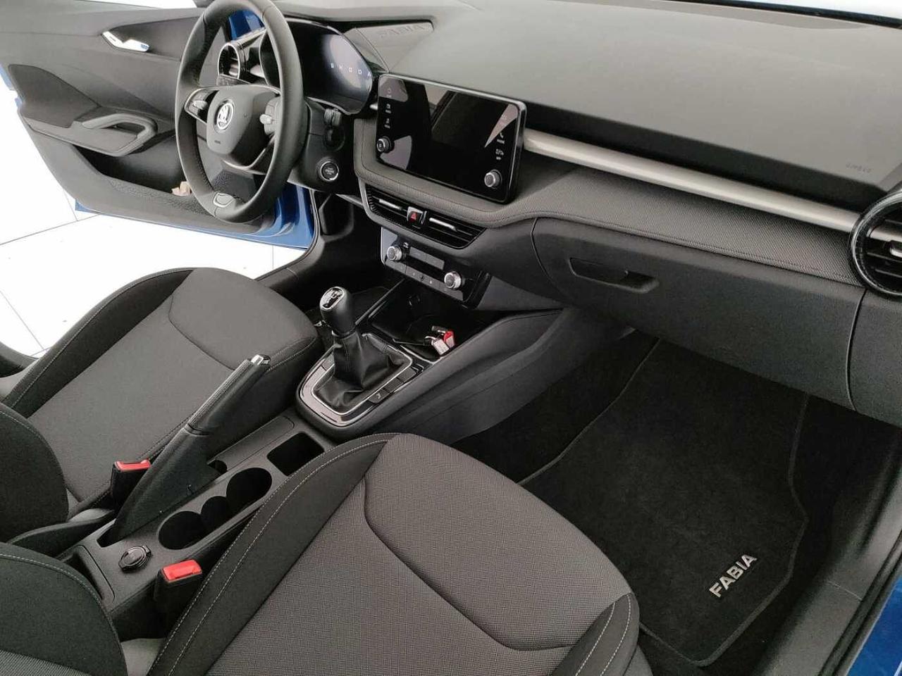 Skoda Skoda Fabia usata, con Rivestimento interno