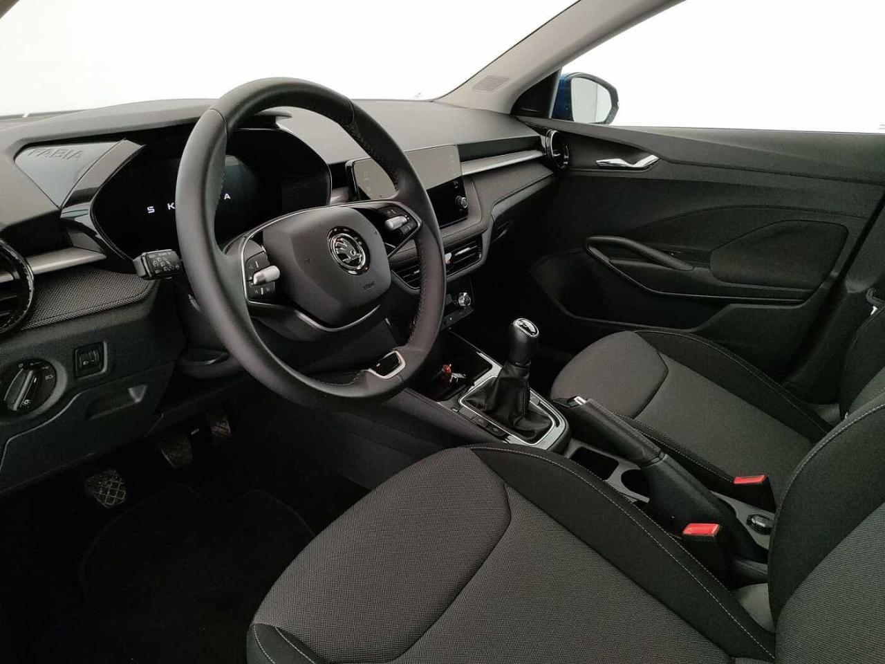 Skoda Skoda Fabia usata 17