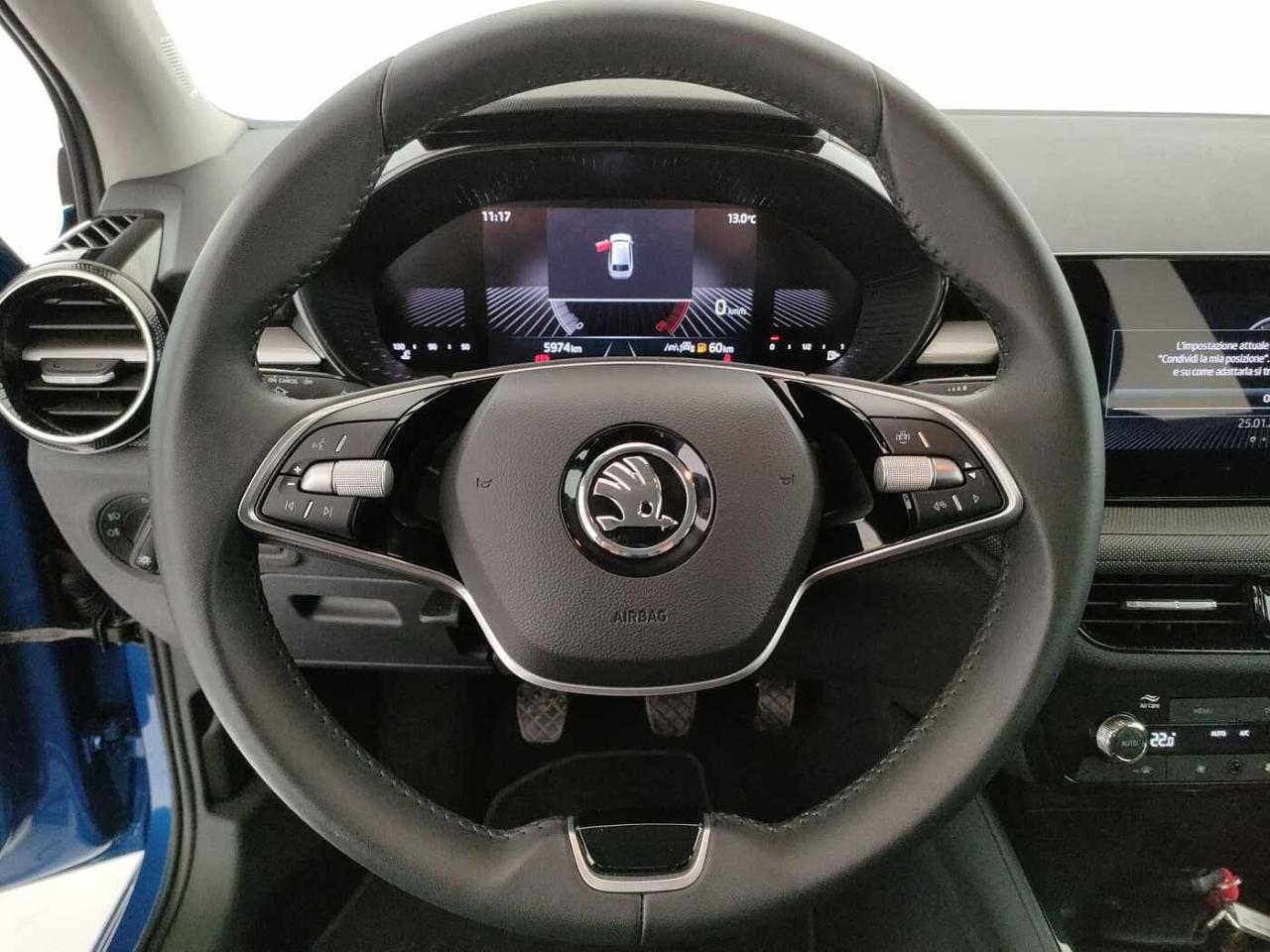 Skoda Skoda Fabia usata 19