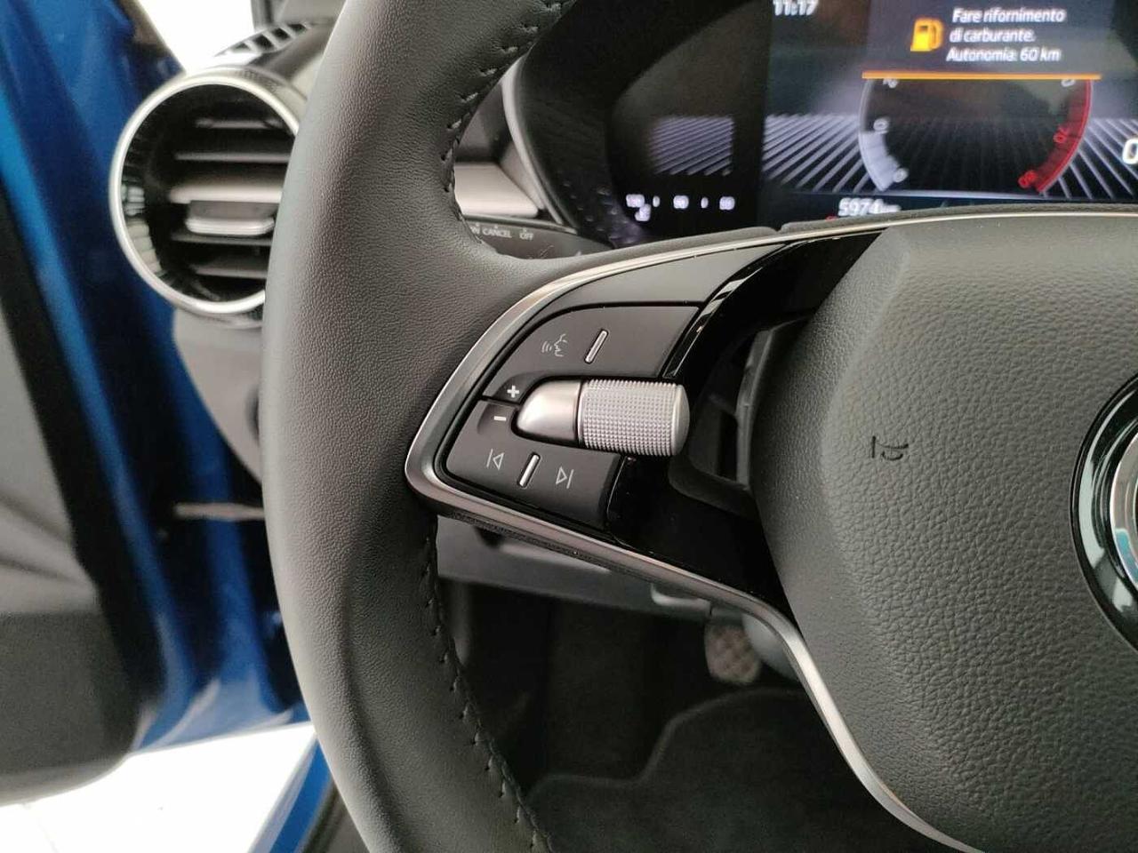 Skoda Skoda Fabia usata 20