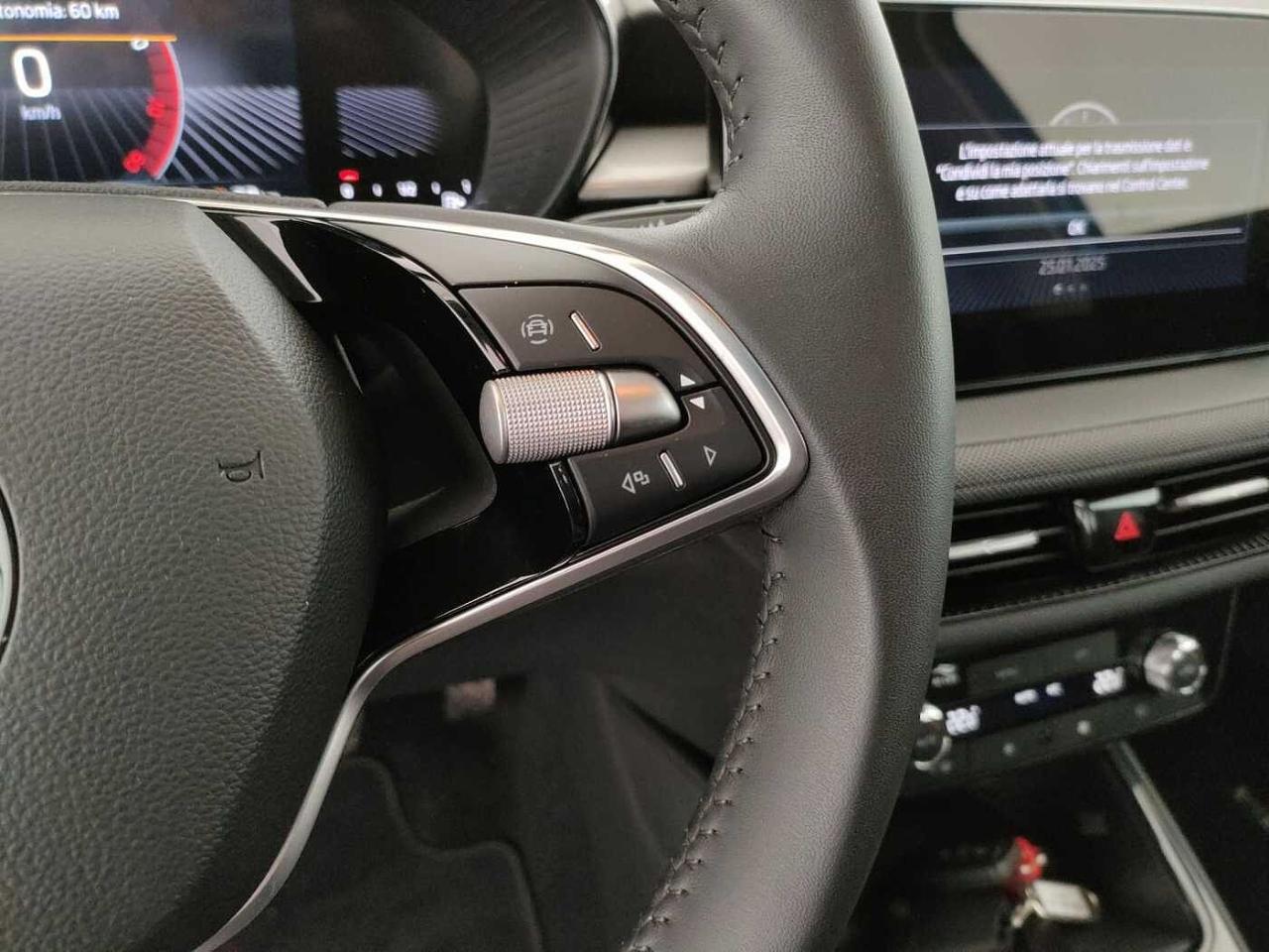 Skoda Skoda Fabia usata 21