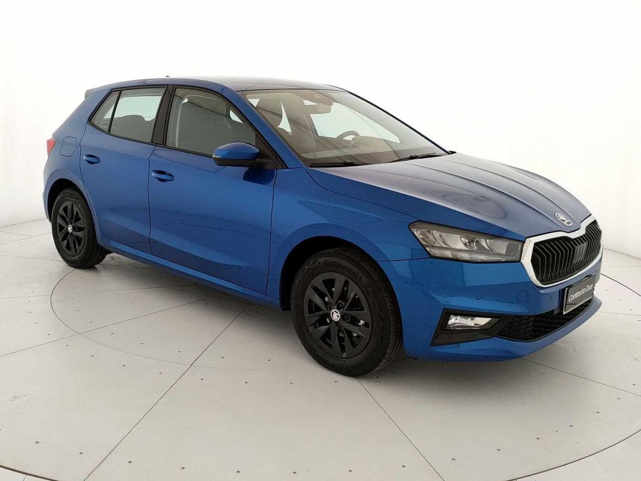 Skoda Skoda Fabia usata 22