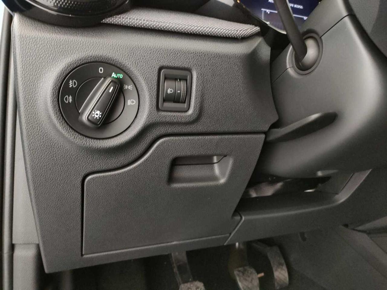 Skoda Skoda Fabia usata 23