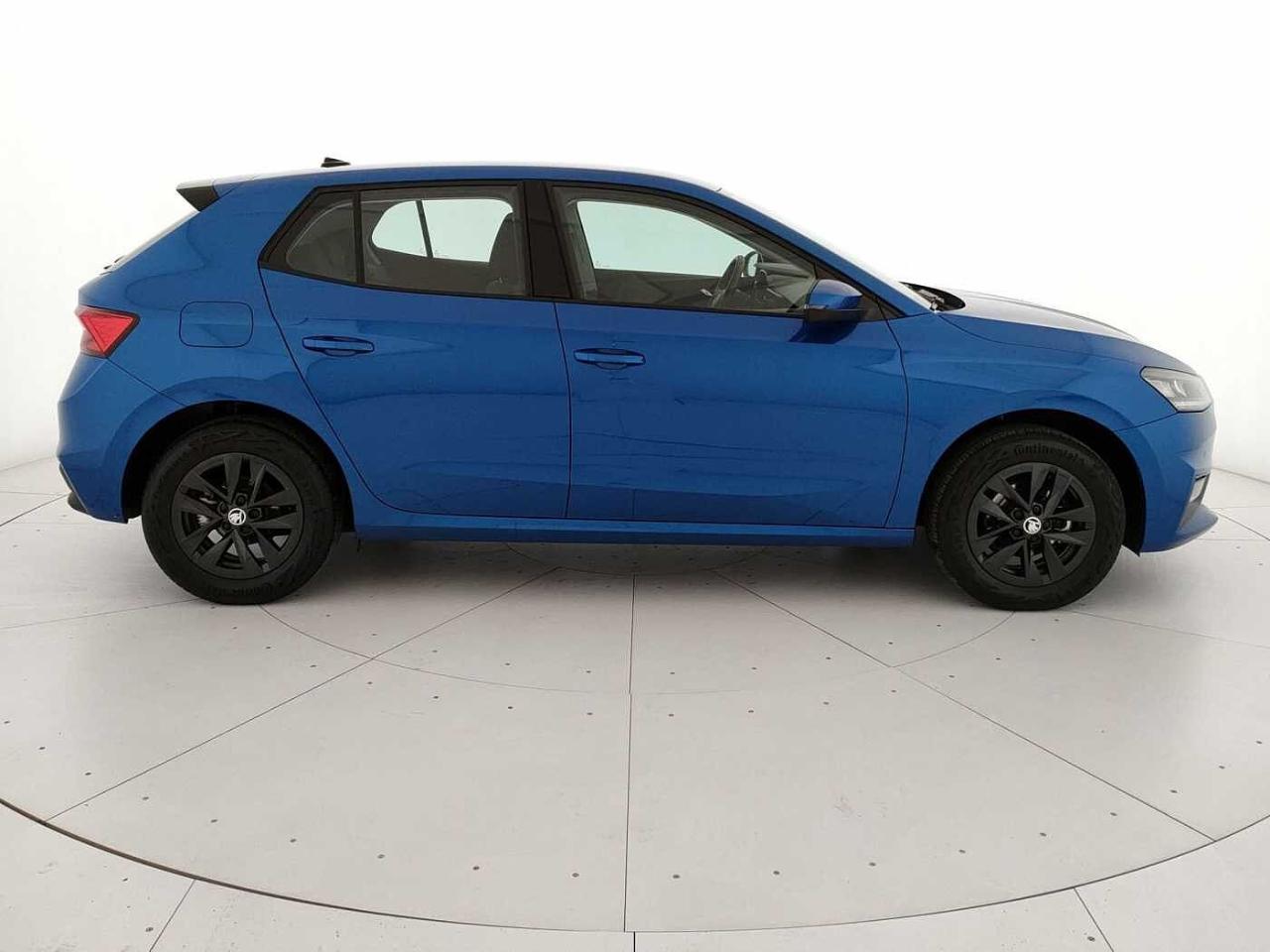 Skoda Skoda Fabia usata 24