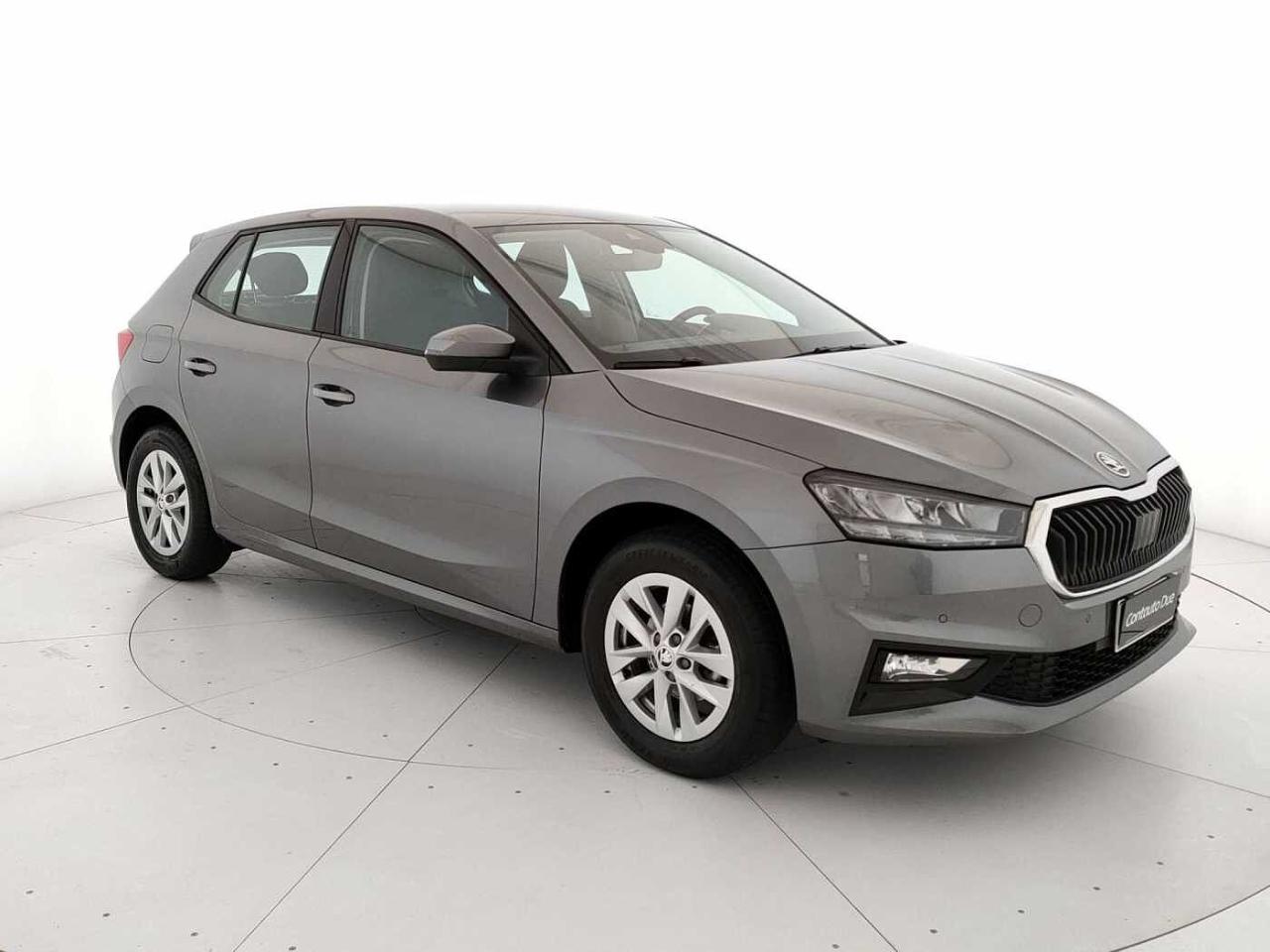 Skoda Skoda Fabia usata 22