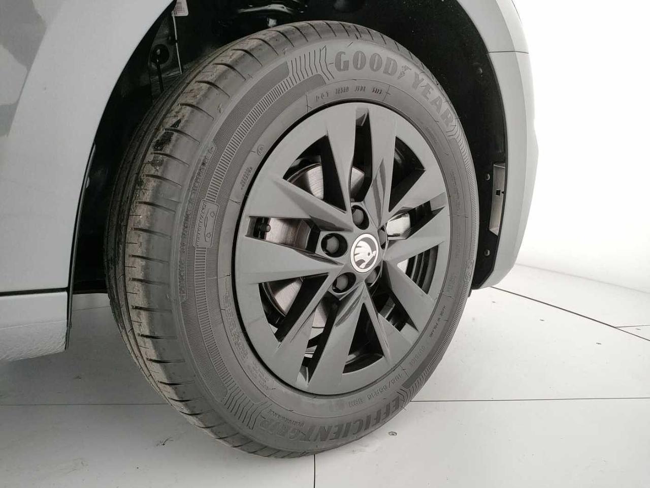 Skoda Skoda Fabia usata, con Mirror Screen