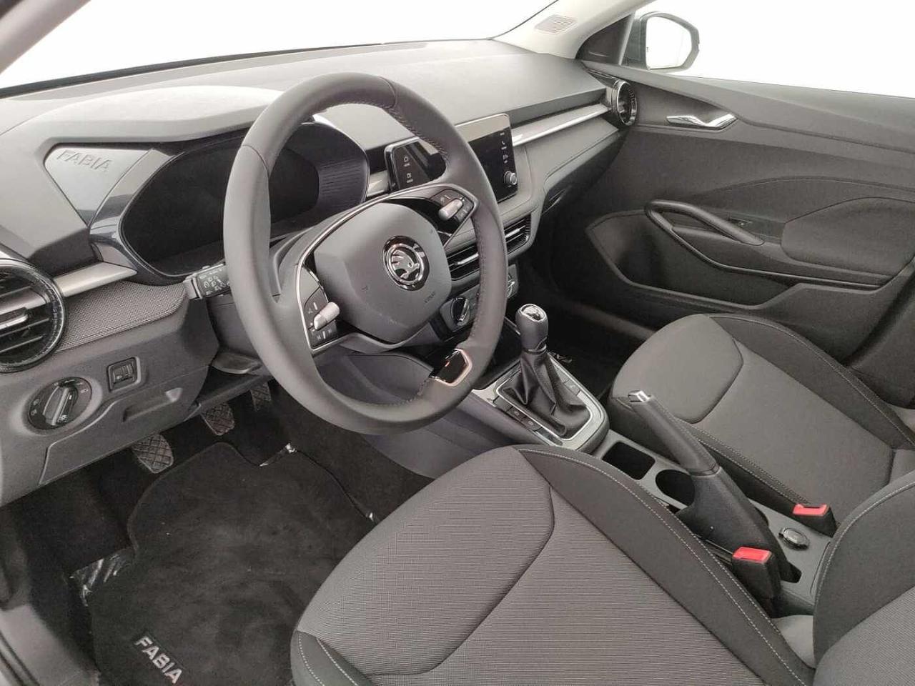 Skoda Skoda Fabia usata, con Sistema Keyless