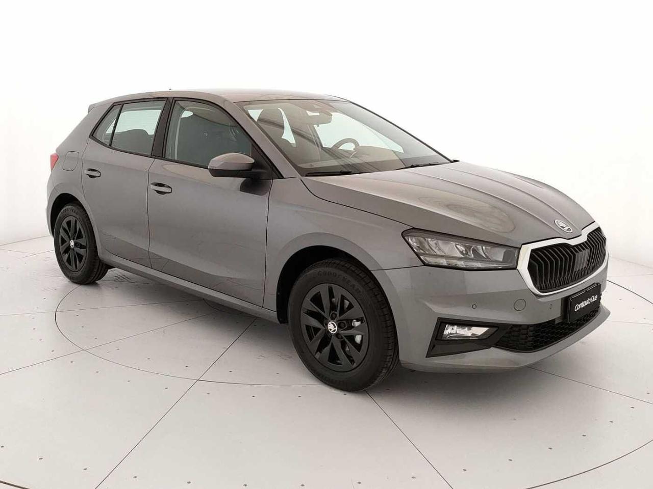 Skoda Skoda Fabia usata 22