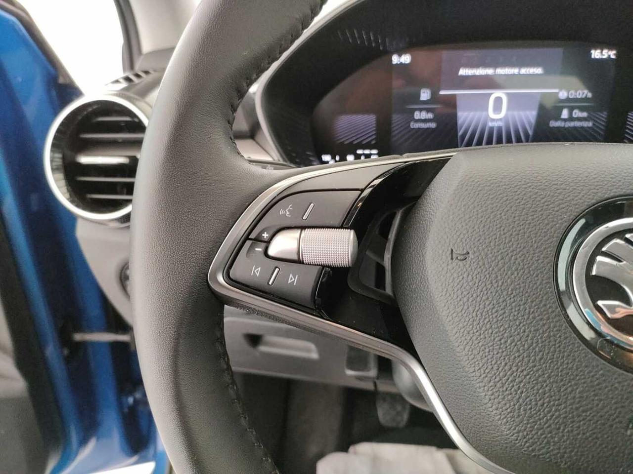 Skoda Skoda Fabia usata 19