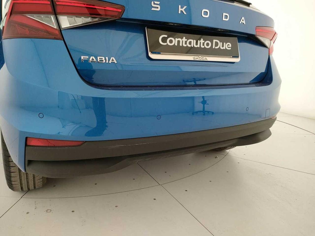 Skoda Skoda Fabia usata 28