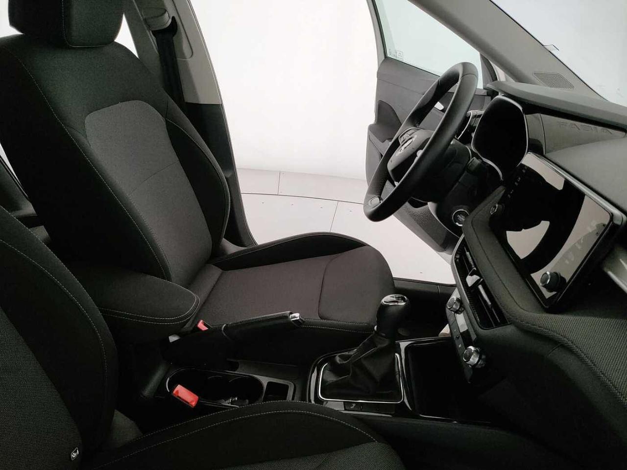 Skoda Skoda Fabia usata, con Climatizzatore