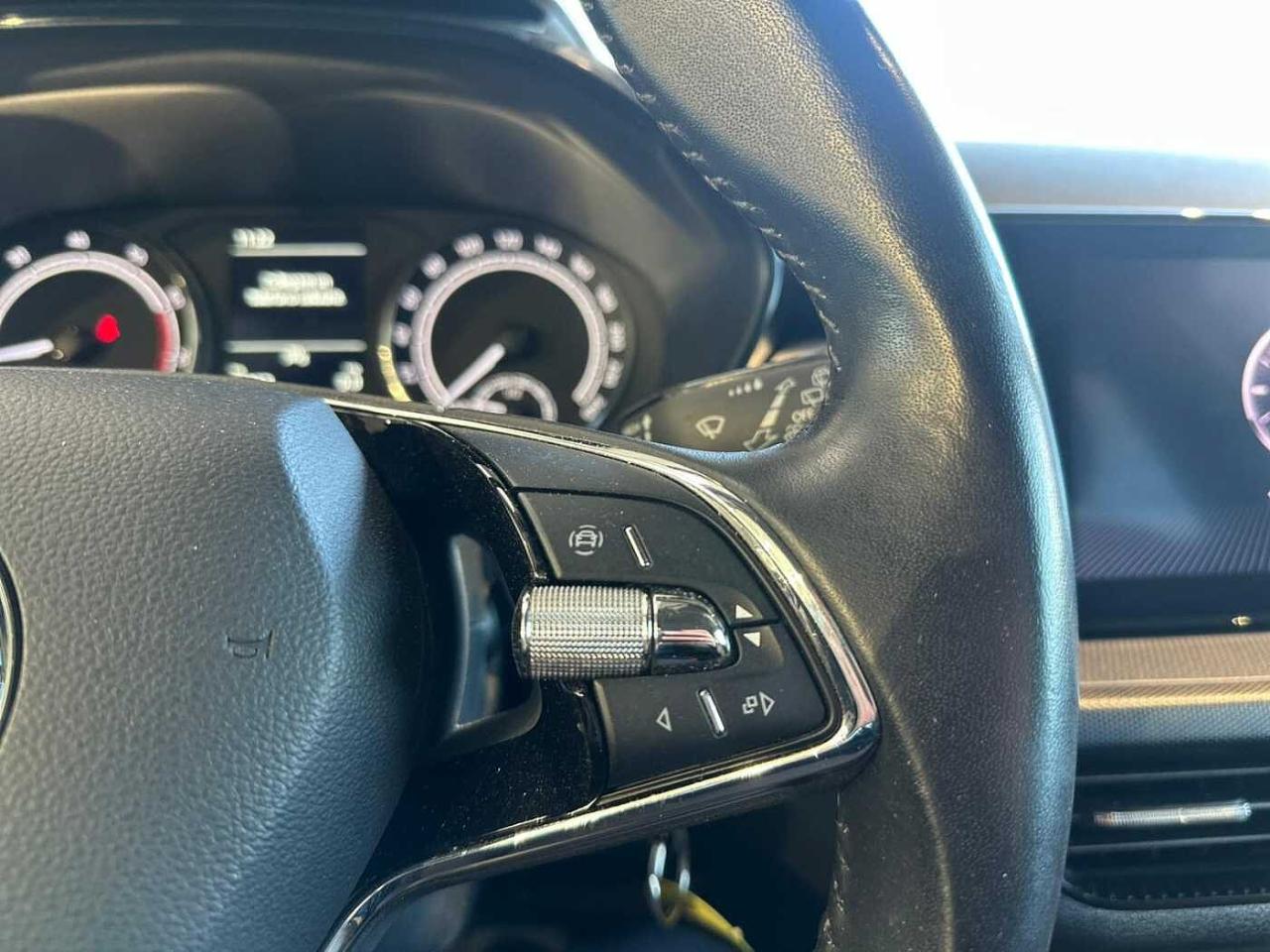 Skoda Skoda Fabia usata 14