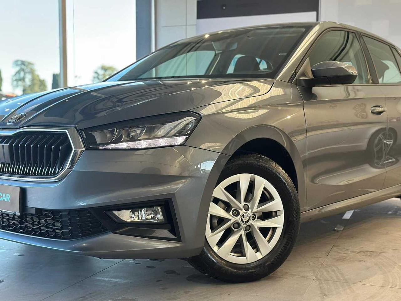 Skoda Skoda Fabia usata 16