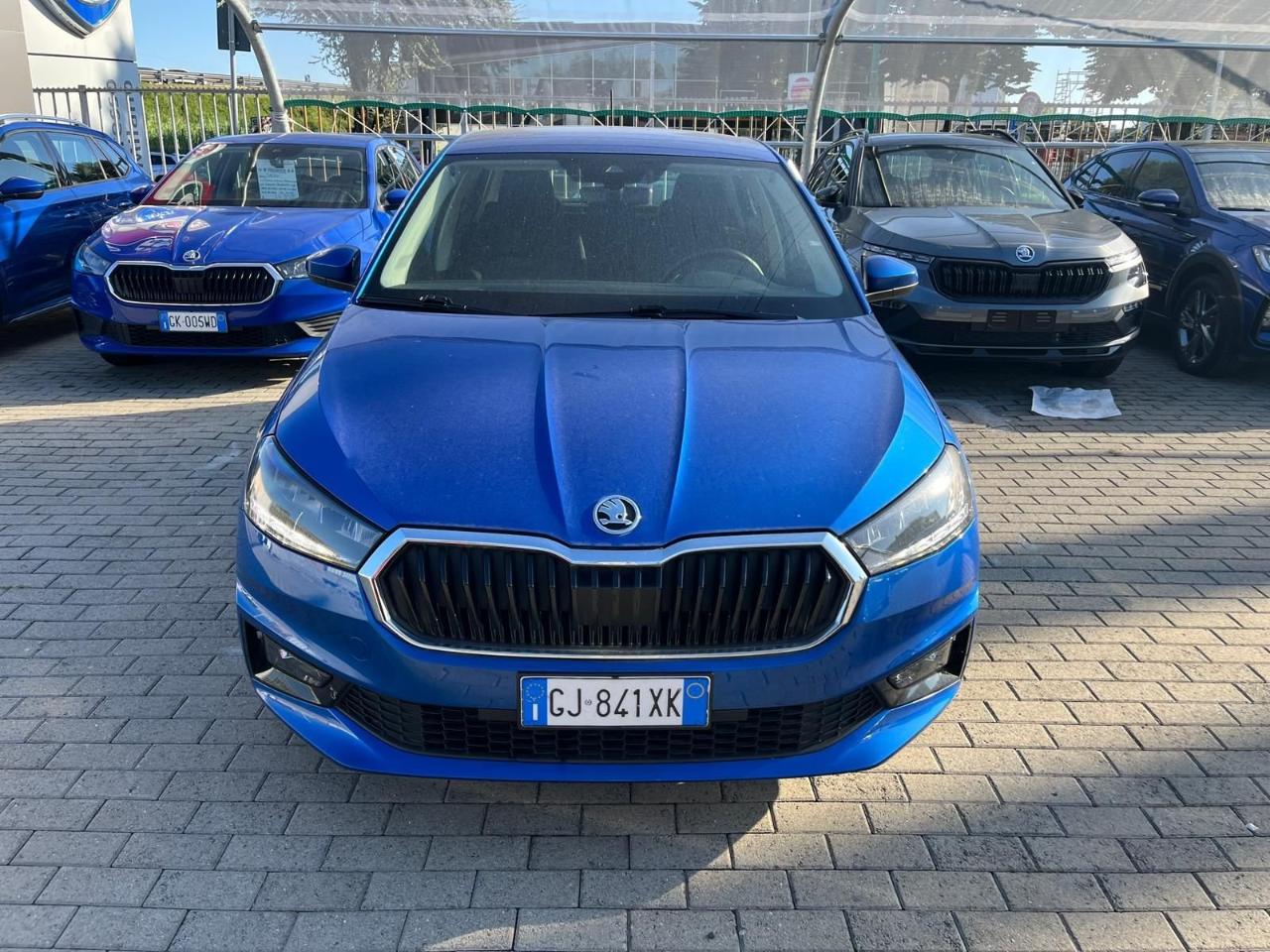 Skoda Skoda Fabia usata 11