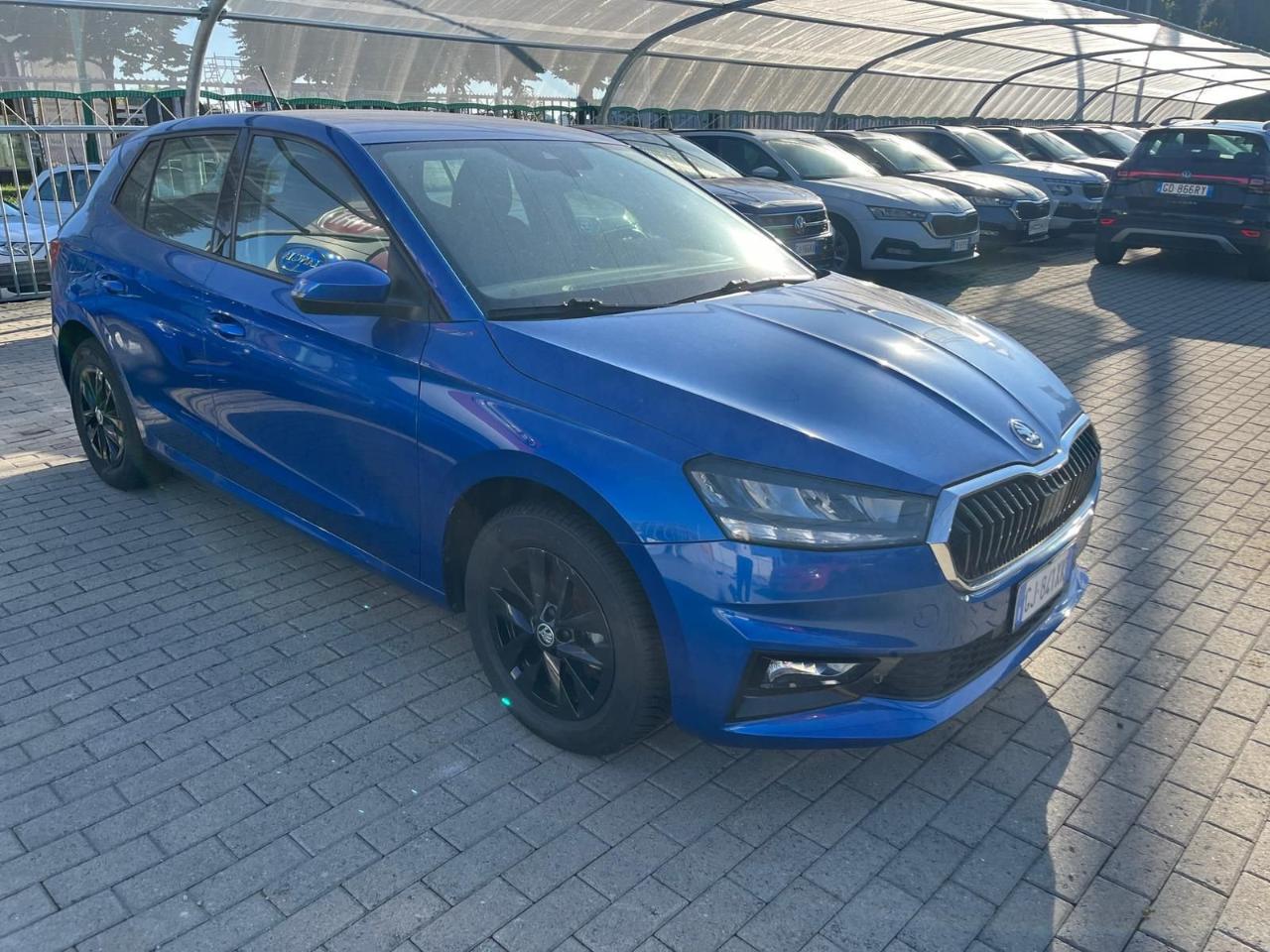 Skoda Skoda Fabia usata 12