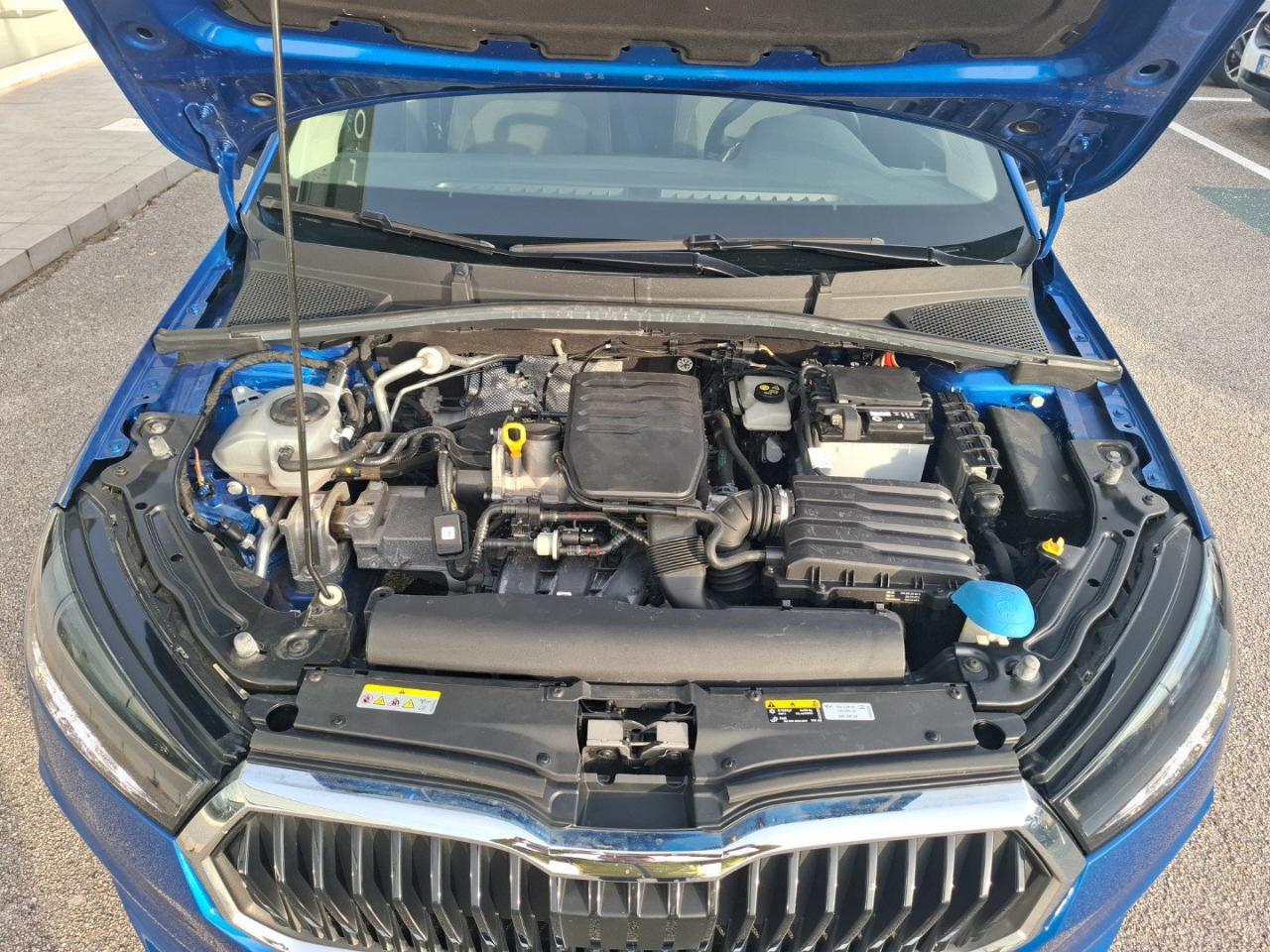 Skoda Skoda Fabia usata 4