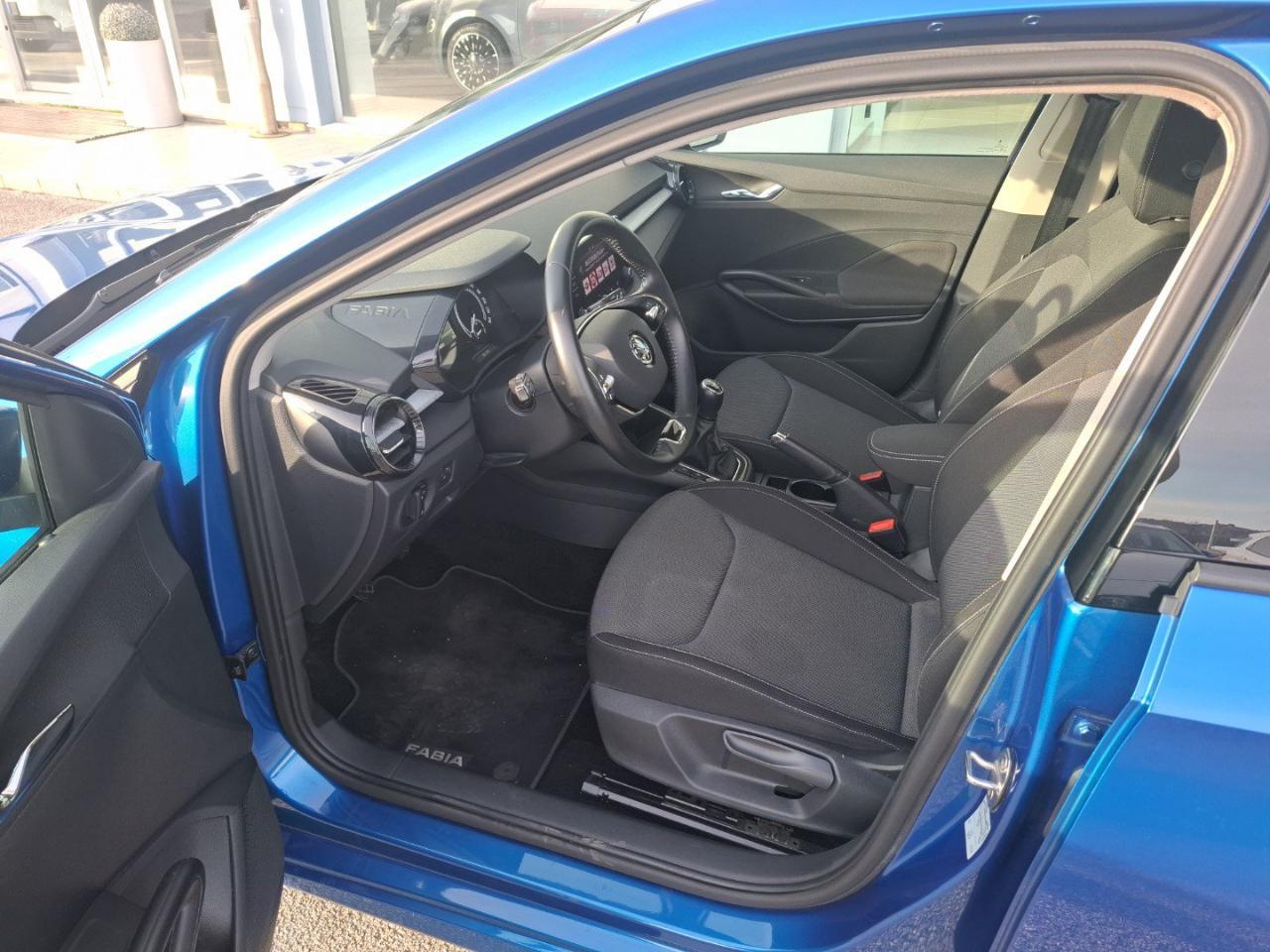 Skoda Skoda Fabia usata 8