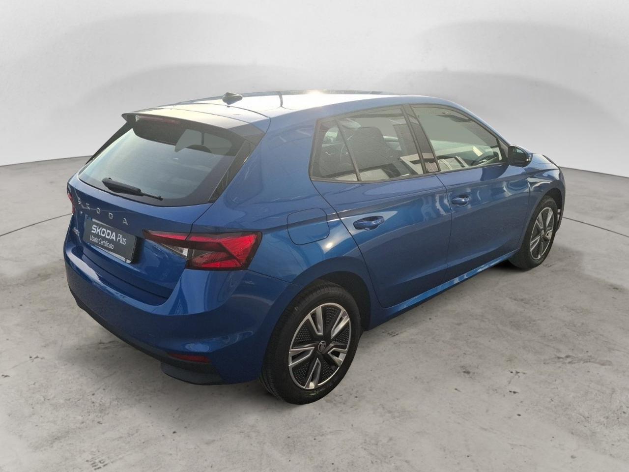 Skoda Skoda Fabia usata 22