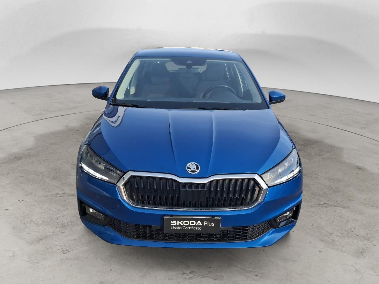 Skoda Skoda Fabia usata 23