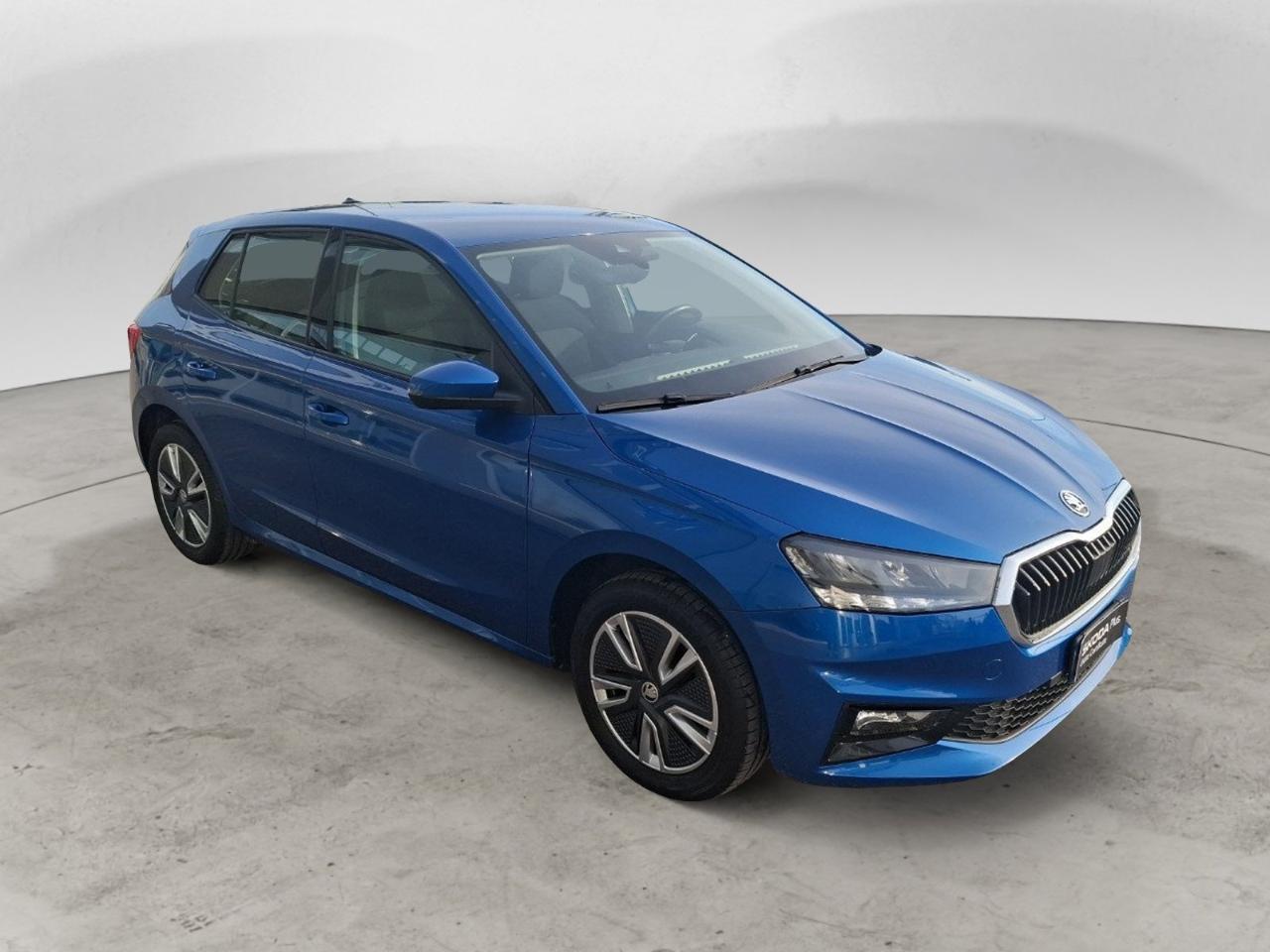 Skoda Skoda Fabia usata 25