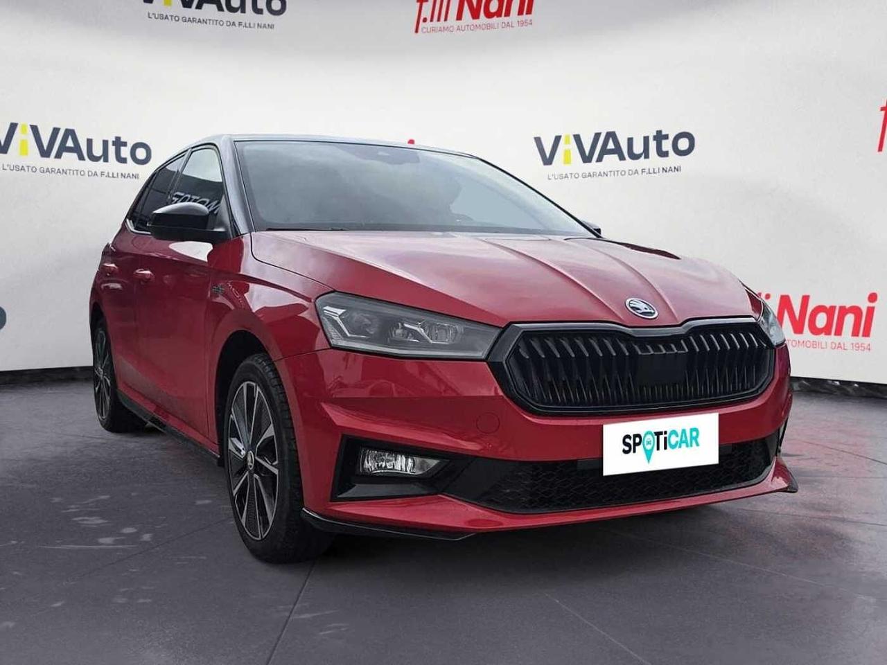 Skoda Skoda Fabia usata 9